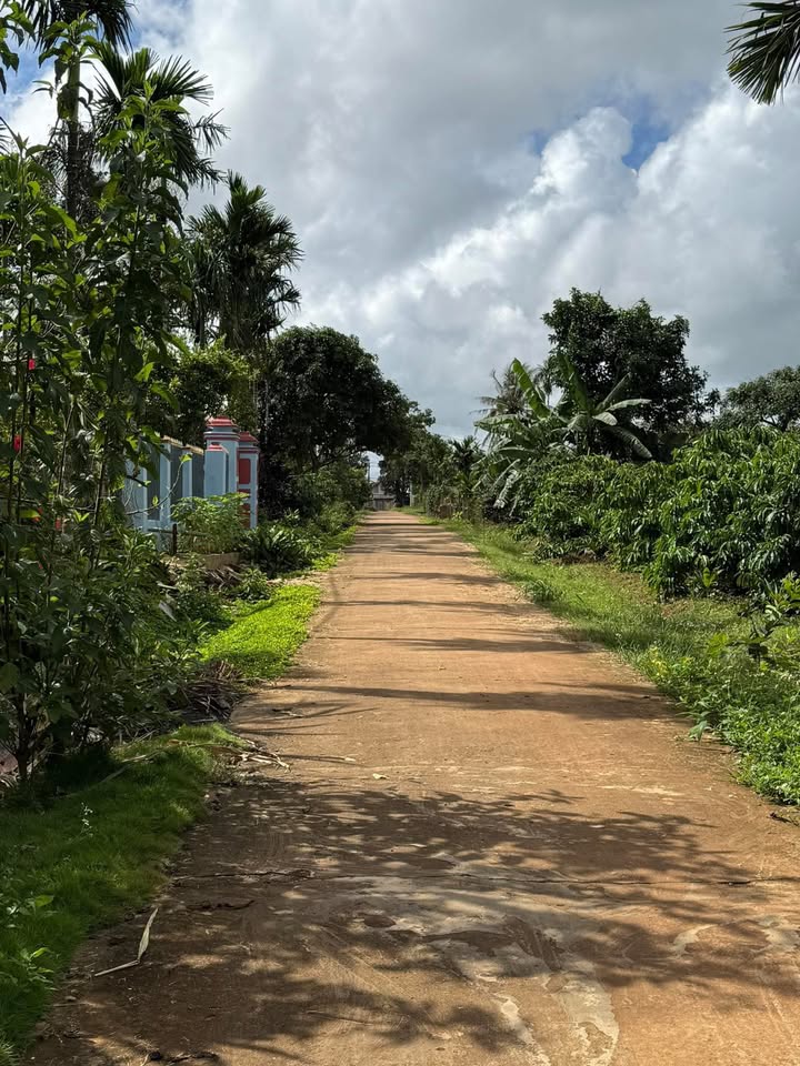 Đất thổ cư Phú Xuân Krông Năng 440m² giá chỉ 4.4 tỷ - Đầu tư sinh lời ngay!