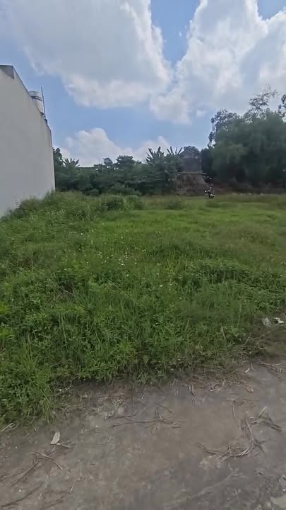 Đất nền Tân Hương, Phổ Yên 100m² giá 700 triệu - Cơ hội đầu tư hấp dẫn!