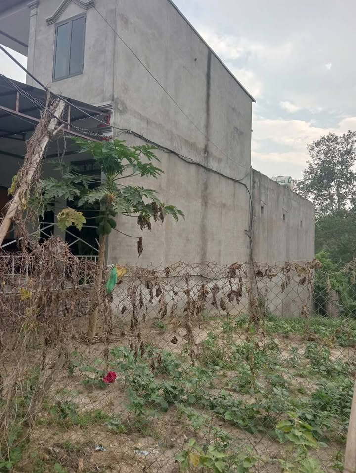 Đất Vạn Xuân, Tam Nông 162,6m² giá 1 tỷ - Đầu tư sinh lời ngay!