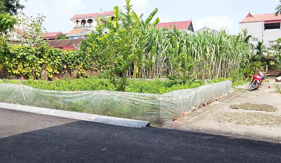 Đất thổ cư Xuân Nộn 40m² giá 2 tỷ - Vị trí đẹp, ô tô vào tận cửa!