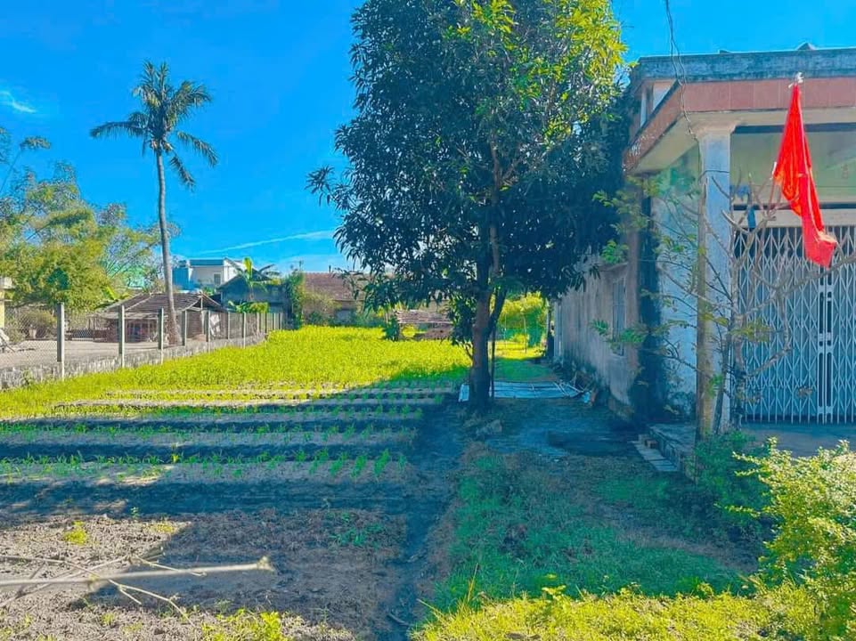 Đất nền Tam Nghĩa, Núi Thành 188.77m² giá chỉ 400 triệu - Sổ hồng trao tay!