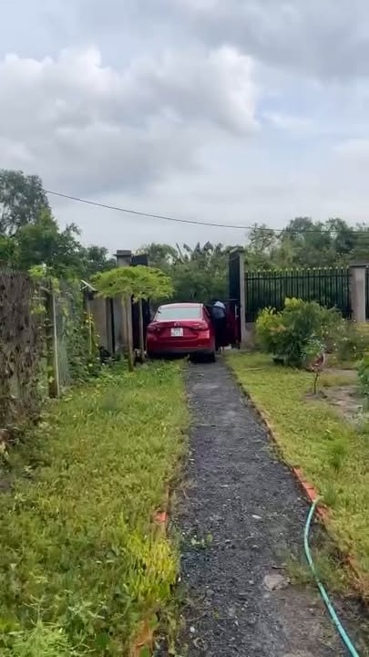 Nhà vườn 550m² phường Đoàn Bá Sở, Bình Chánh giá 2.5 tỷ - Cơ hội đầu tư hấp dẫn!