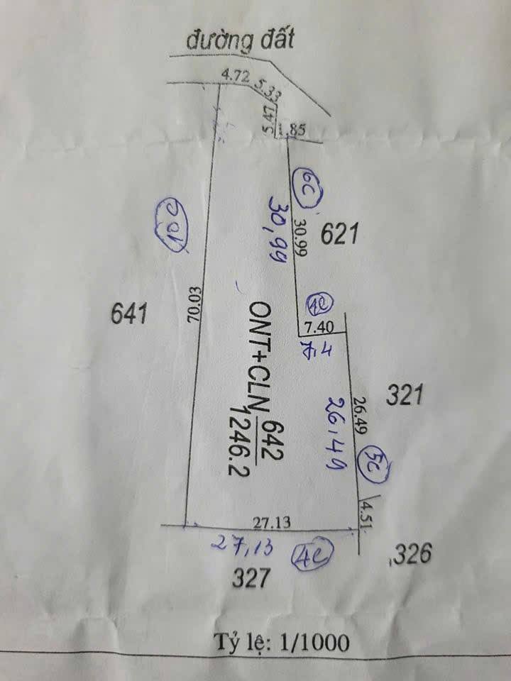 Đất nền An Bình, Châu Thành Tây Ninh 12000m² giá 800 triệu - Cơ hội đầu tư hấp dẫn!