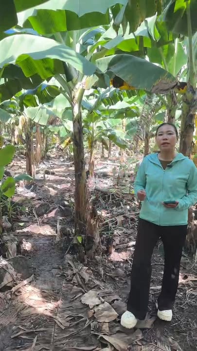 Đất CLN 3000m² tại xã Bàu Hàm, Trảng Bom - 3 mặt tiền đường, giá thỏa thuận!