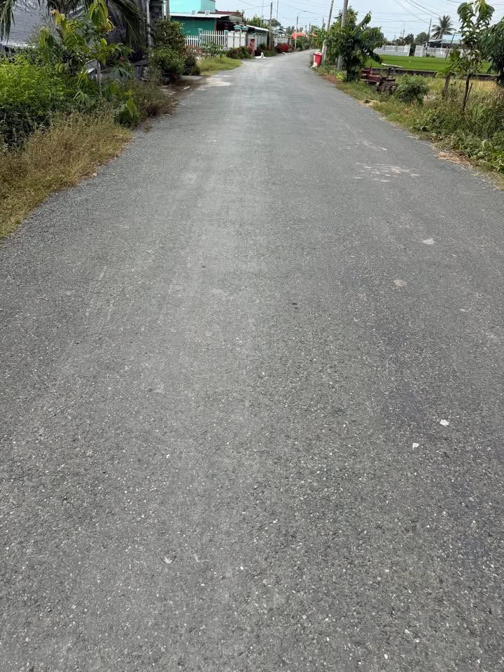 Đất nền mặt tiền Tân Trạch, Cần Đước 103m² giá 750 triệu - Cơ hội đầu tư hiếm có!