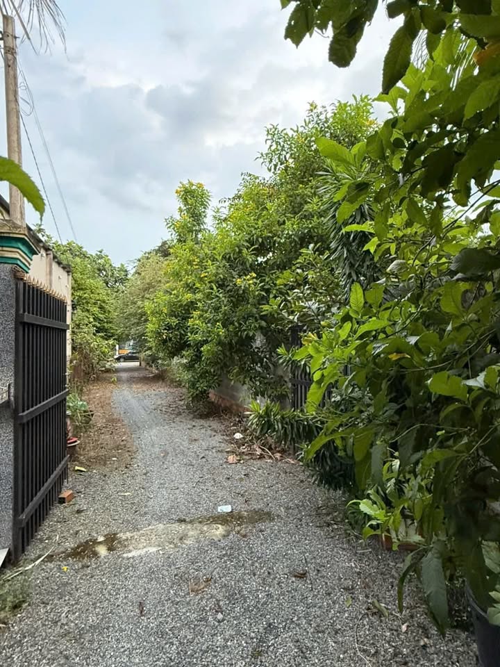 Nhà phố Củ Chi 76m² giá 950 triệu - Nhà mới đẹp, hẻm xe hơi vào tận nhà!