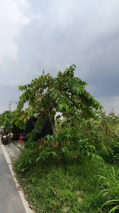 Đất nền mặt tiền Tân Xuân 2, Hóc Môn 95m² giá 4.88 tỷ - Đầu tư sinh lời ngay!