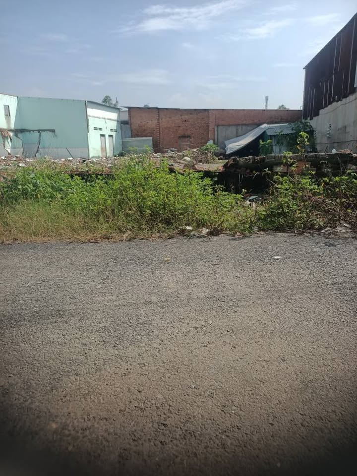 Đất thổ cư Tân Hiệp Hóc Môn 145m² giá 3.3 tỷ - Sổ đỏ chính chủ, tiện ích đầy đủ!