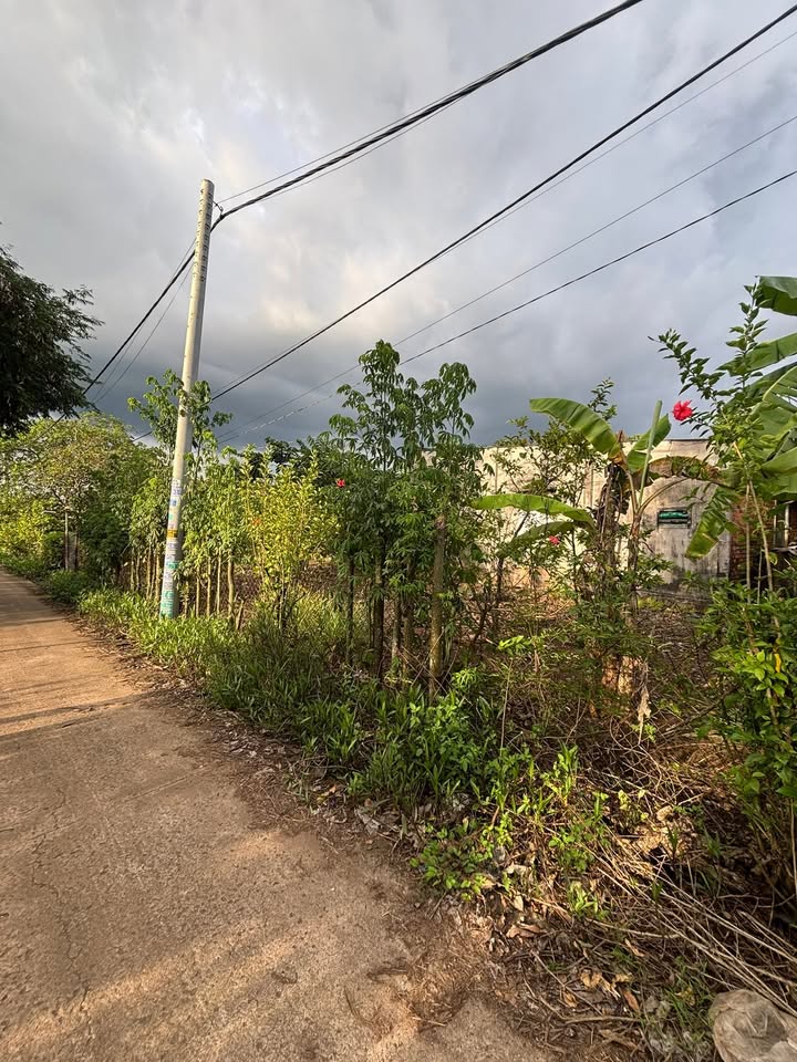 Đất thổ cư Lang Minh 2881m² giá 3.5 tỷ - Cơ hội đầu tư tuyệt vời!