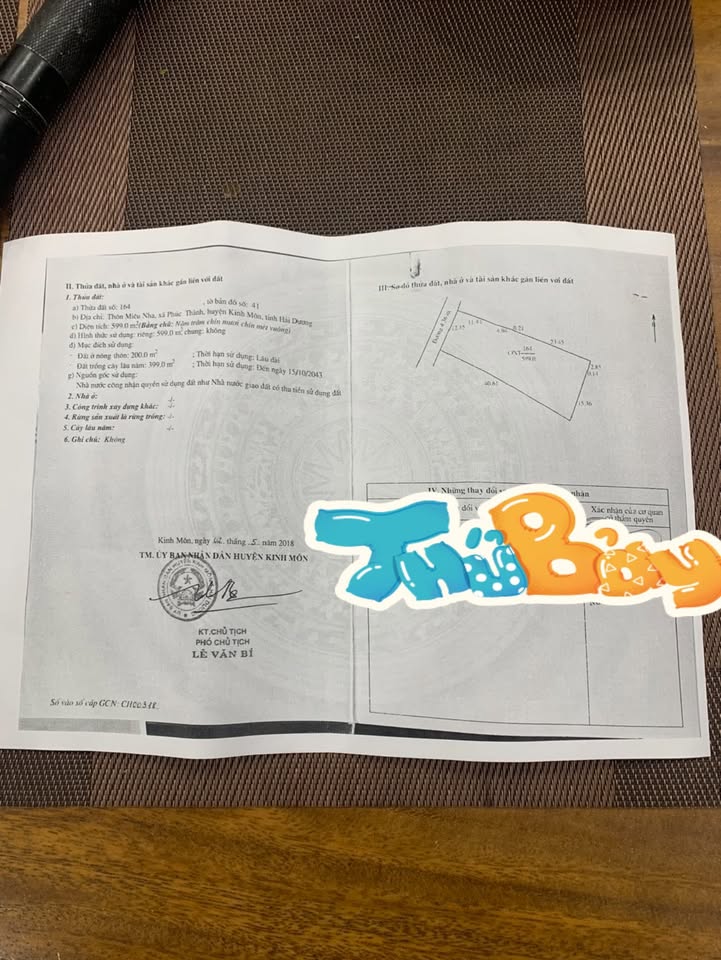 Nhà 2 tầng tại Quang Thành, Kinh Môn 600m² giá 5 tỷ - Thiết kế phong cách Nhật hiện đại!