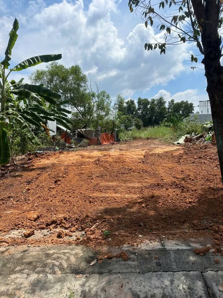 Đất nền Bến Cát Bình Dương 150m² giá chỉ 1.5 tỷ - Xây dựng tự do