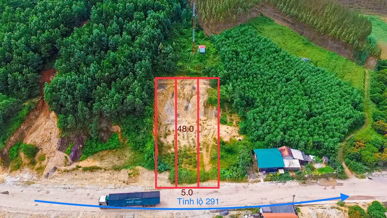 Đất nền Tuấn Đạo Sơn Động 250m² giá 750 triệu - Cơ hội đầu tư hấp dẫn!