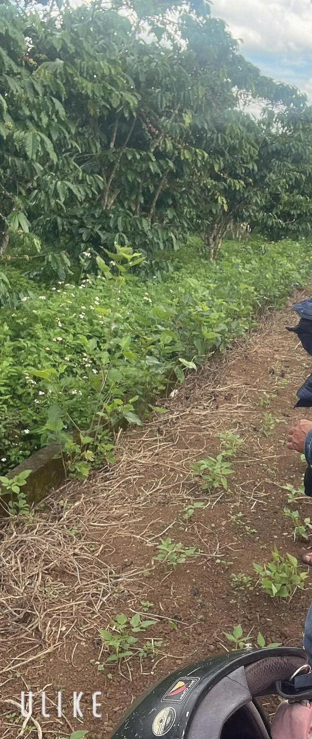 Đất nền Lộc Đức 63000m² giá 4.9 tỷ - Đầu tư sinh lời bền vững!