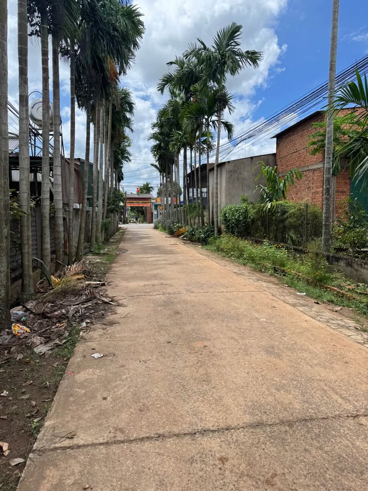 Đất nền tại Tỉnh lộ 9, Thị trấn Phước An, 288m² giá 5.53 tỷ - Cơ hội đầu tư tuyệt vời!