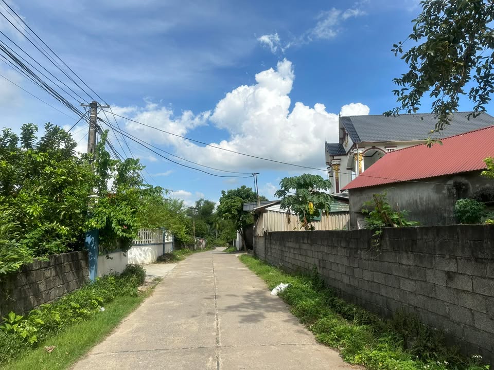 Đất nền thổ cư Sấu Hạ, Lương Sơn 125m² - Vị trí đẹp, giao thông thuận lợi!