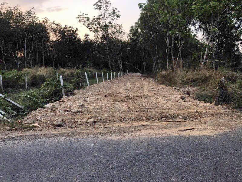 Đất nền đường Nhựa Lai Hưng 18, Bàu Bàng 312m² giá 1.65 tỷ - Pháp lý hoàn chỉnh!