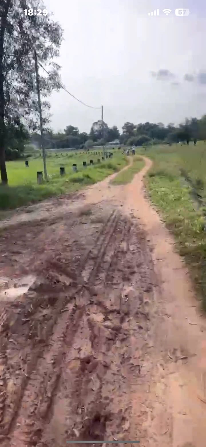 Đất lúa đường Bờ Kè Tân Khánh 866m² giá 2 tỷ - Cơ hội đầu tư tuyệt vời!