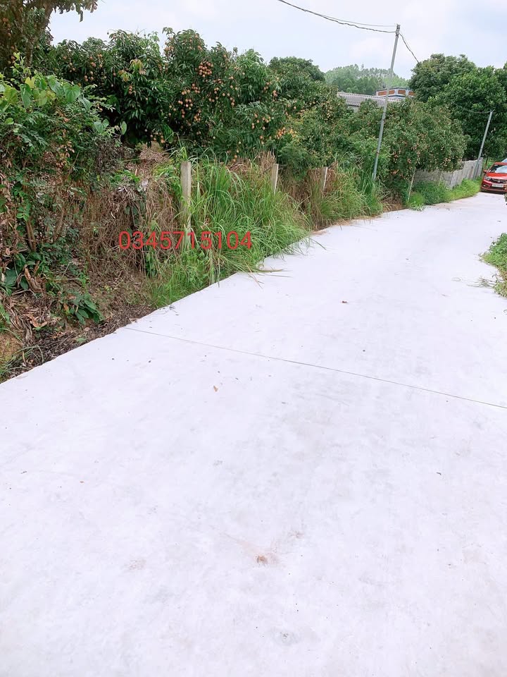 Đất Vô Tranh Lục Nam 580m² giá tốt - Mặt tiền rộng 13m, tiện lợi kinh doanh!