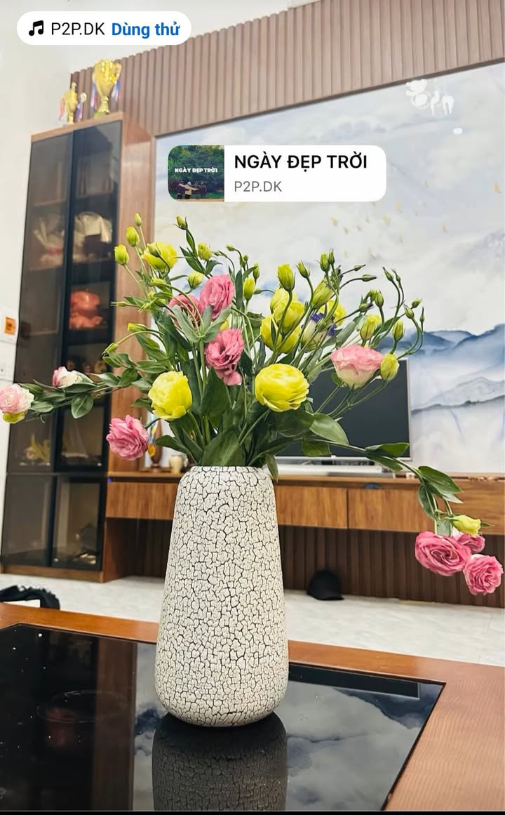 Căn hộ Tecco Bình Tân 67m² giá 6.5 triệu - Nội thất cơ bản, sẵn sàng cho thuê!