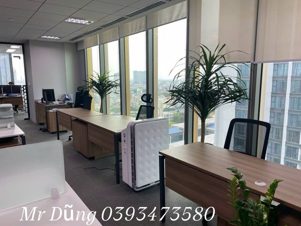 Cho thuê văn phòng 550m² tại Dương Đình Nghệ, Cầu Giấy - View thoáng, sẵn sàng vào làm việc!