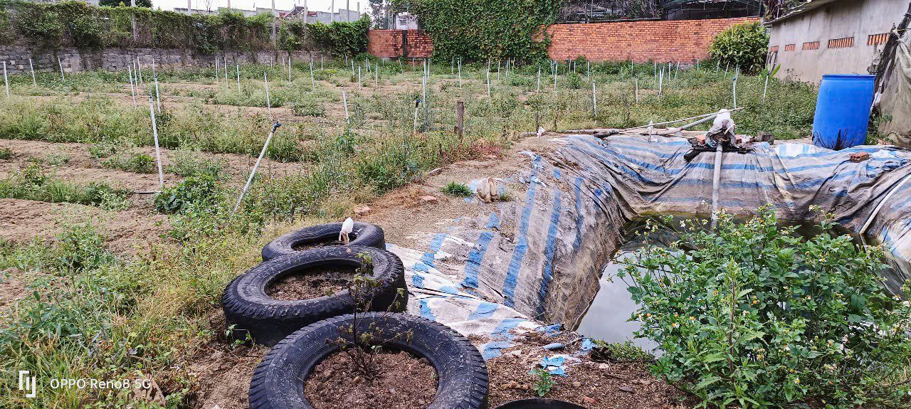 Đất nền 1680m² tại xã Ka Đơn, Đơn Dương, Lâm Đồng giá 25.2 tỷ - Tiềm năng đầu tư cao!