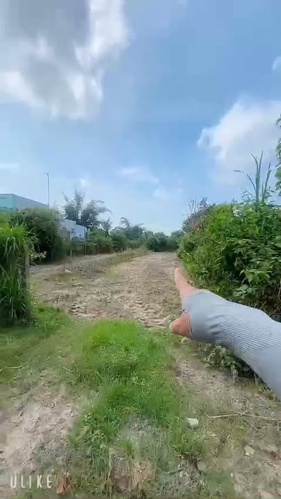 Đất thổ cư 800m² Lộc Giang - Cơ hội đầu tư lý tưởng chỉ 3.1 tỷ!