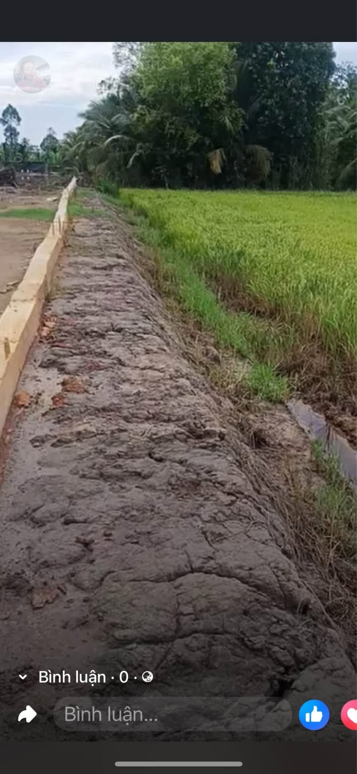 Đất nông nghiệp 12 công xã Tân Long Hội, Vĩnh Long - Giá chỉ 3.5 tỷ, mặt tiền 75m đẹp!