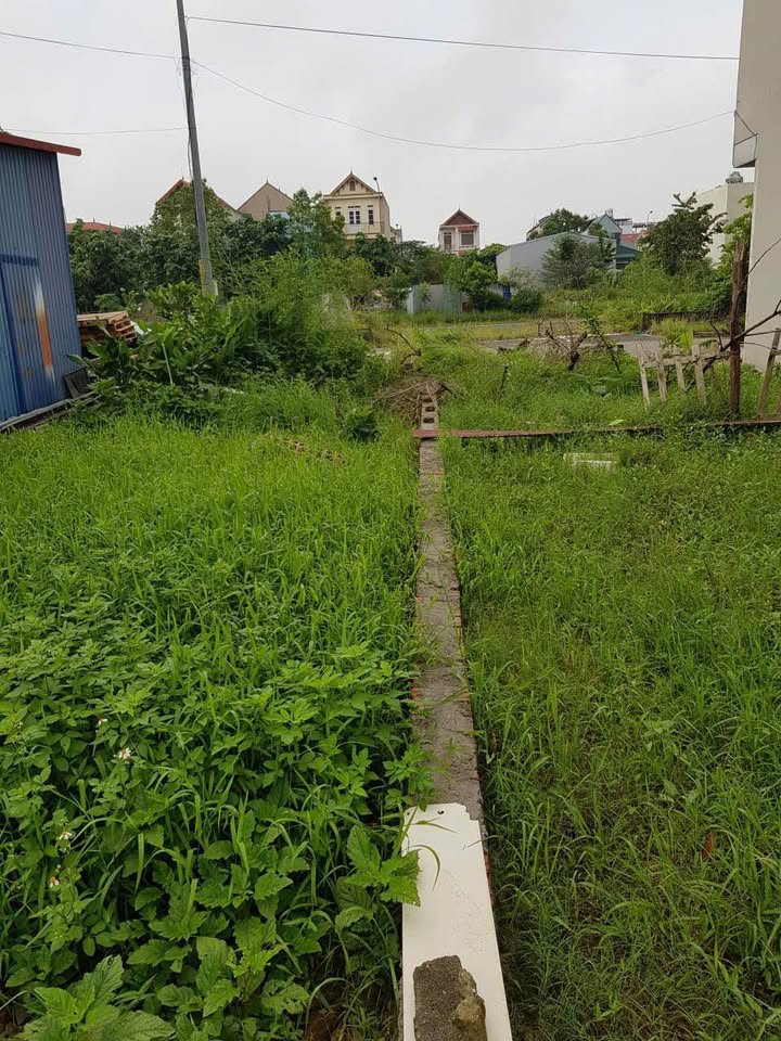 Đất nền Tái Định Cư Tiên Dược - Sóc Sơn 80m² giá thỏa thuận - Đầu tư sinh lời ngay!