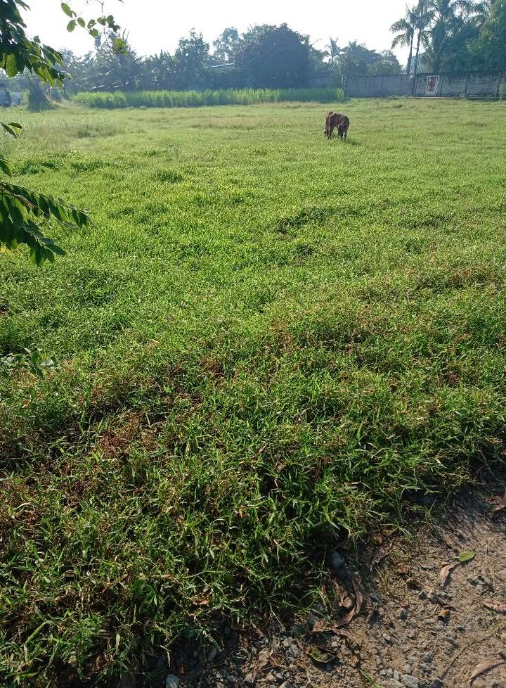 Đất mặt tiền đường đá 6m xã Đức Lập 700m² giá 2.5 tỷ - Cơ hội đầu tư tuyệt vời!