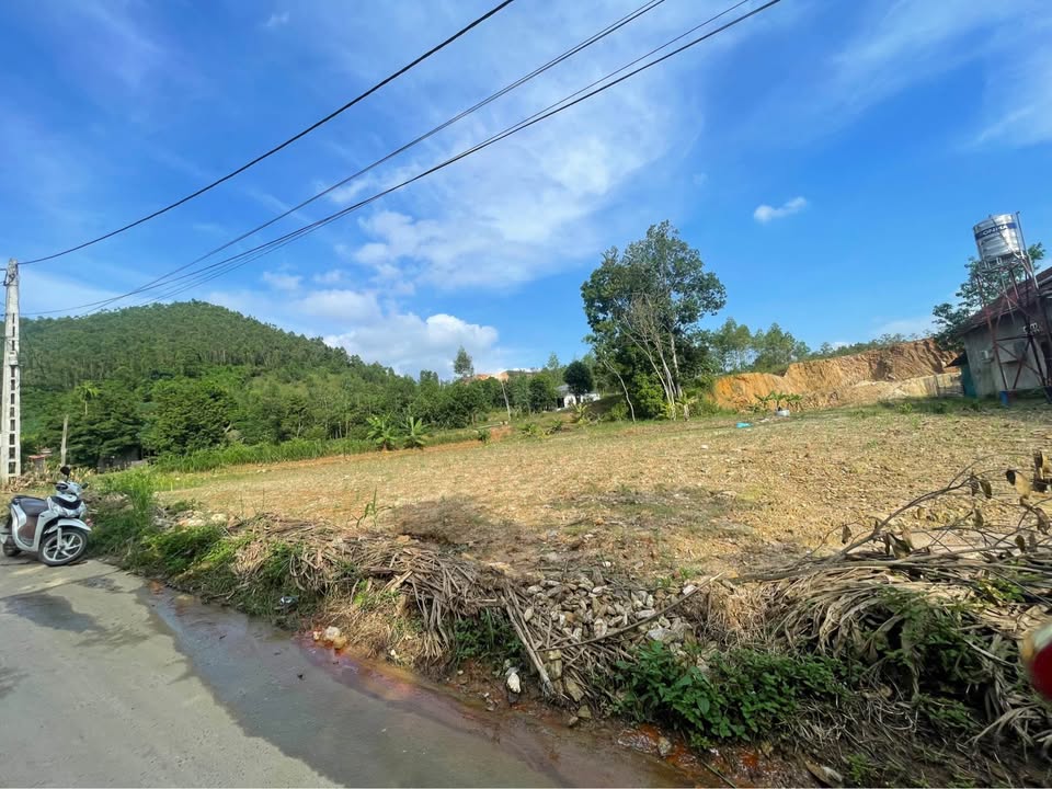 Đất thổ cư Thạch Khoán 1200m² - Giá thỏa thuận, đầu tư sinh lời!