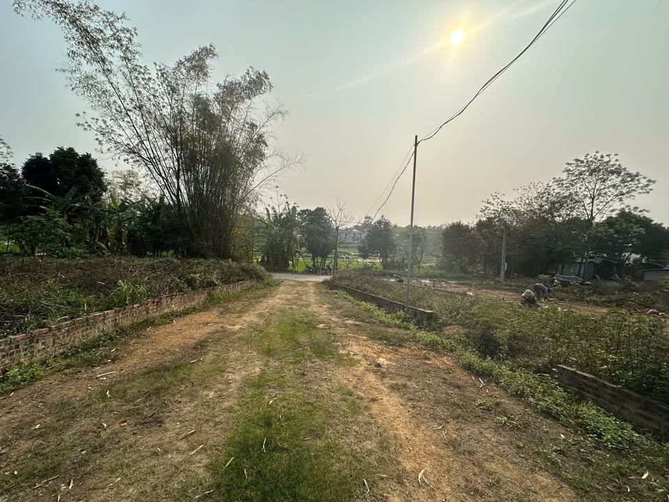 Đất thổ cư 180m² tại thôn Tiền Phong, Đồng Tĩnh, Tam Dương - Giá chỉ 700 triệu!