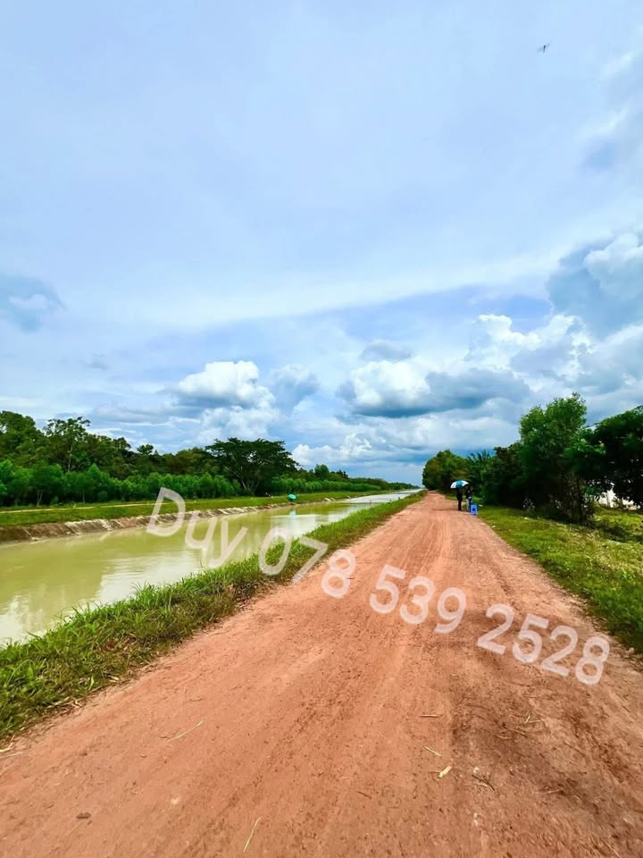 Đất thổ cư Gò Dầu 175m² giá chỉ 648 triệu - Sổ đỏ chính chủ, xây nhà trọ ngay!