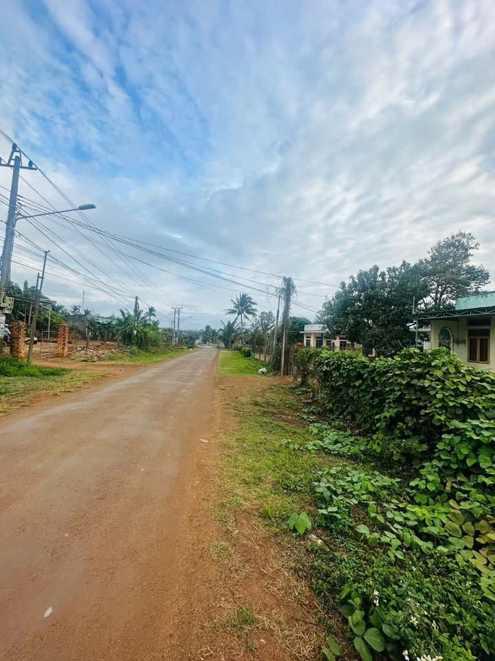 Đất thổ cư mặt tiền đường Âu Cơ Buôn Hồ 305m² giá 1.299 tỷ - Đầu tư sinh lời ngay!