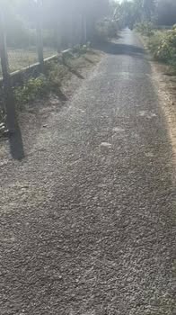 Lô đất nền Cầu Ngang 280m² giá chỉ 210 triệu - Đầu tư lý tưởng!