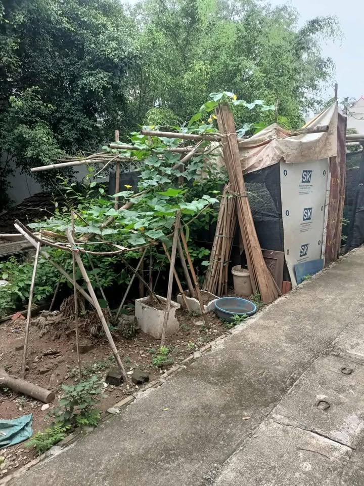 Đất nền Thôn Xâm Động, Vân Tảo 100m² giá 4.85 tỷ - Tiềm năng đầu tư sinh lời!