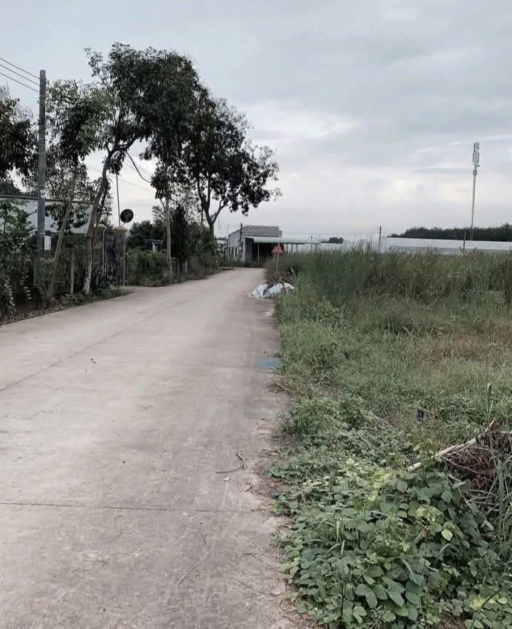 Đất nền Hẻm 26 Phước Vĩnh, Phú Giáo 155m² giá 700 triệu - Đường thông, dân cư đông đúc!