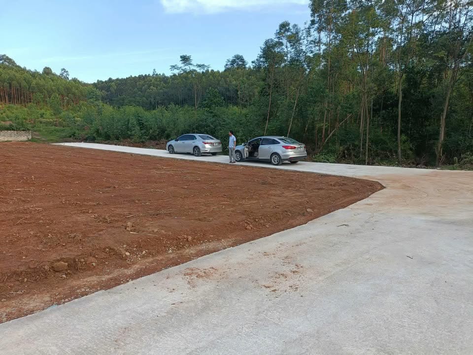 Đất nền Tân An Yên Dũng 556m² giá thỏa thuận - Tiềm năng đầu tư sinh lời cao!