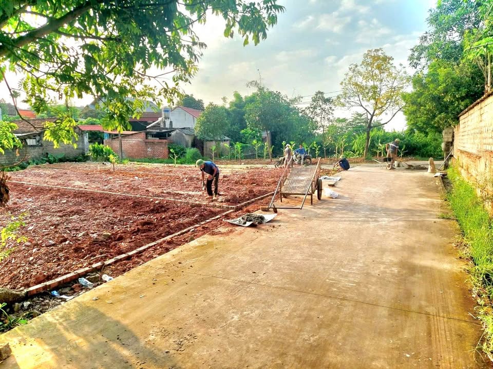 Đất thổ cư Liên Sơn, Tân Yên 106m² giá chỉ 8xx triệu - Đầu tư sinh lời ngay!