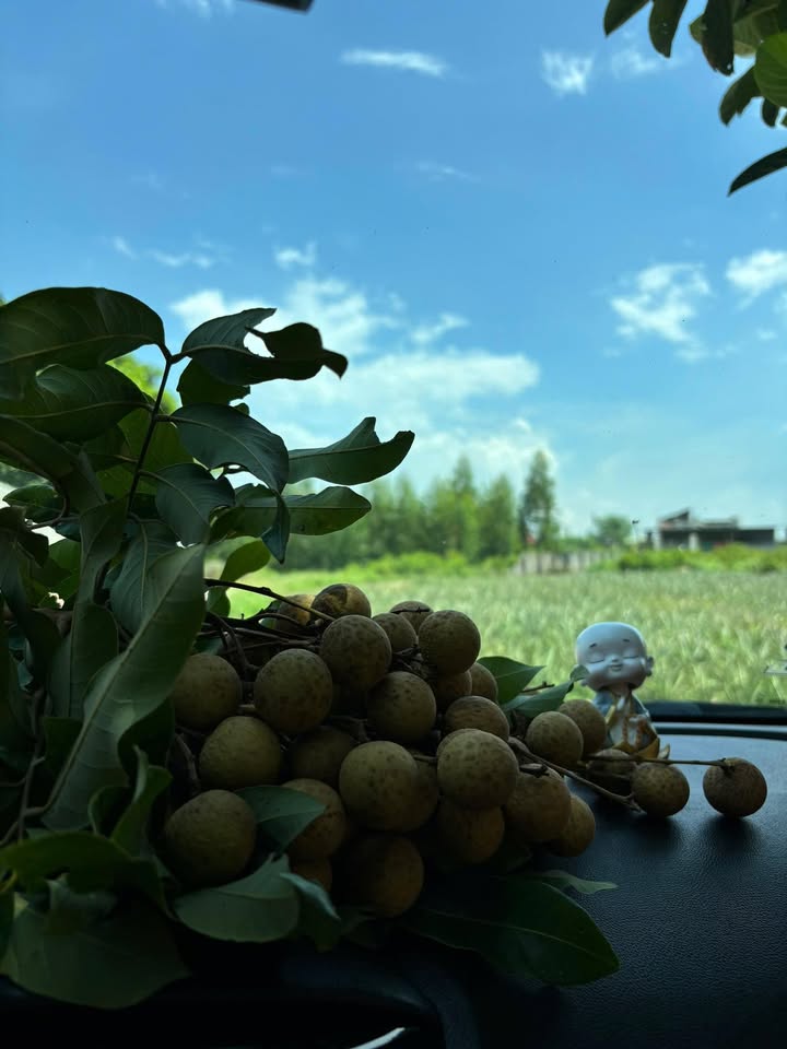 Đất thổ cư 180m² Lô góc 2 mặt tiền Lan Mẫu, Lục Nam - Chỉ 2 tỷ - Gần trường, chợ