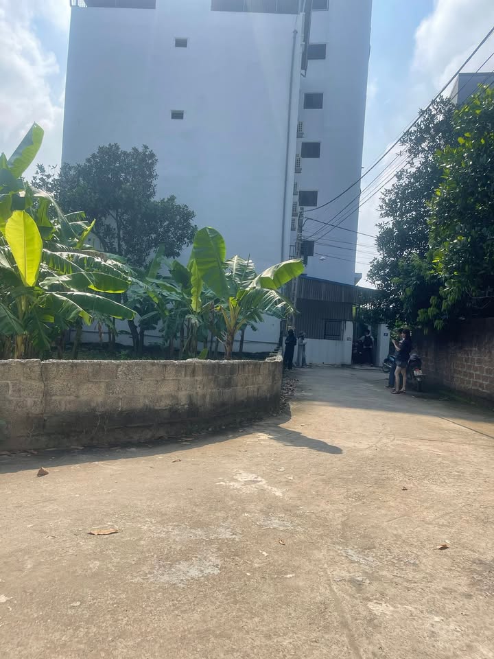 Đất nền Tân Xã Thạch Thất 200m² giá chỉ 50 triệu/m² - Đầu tư sinh lời cao!