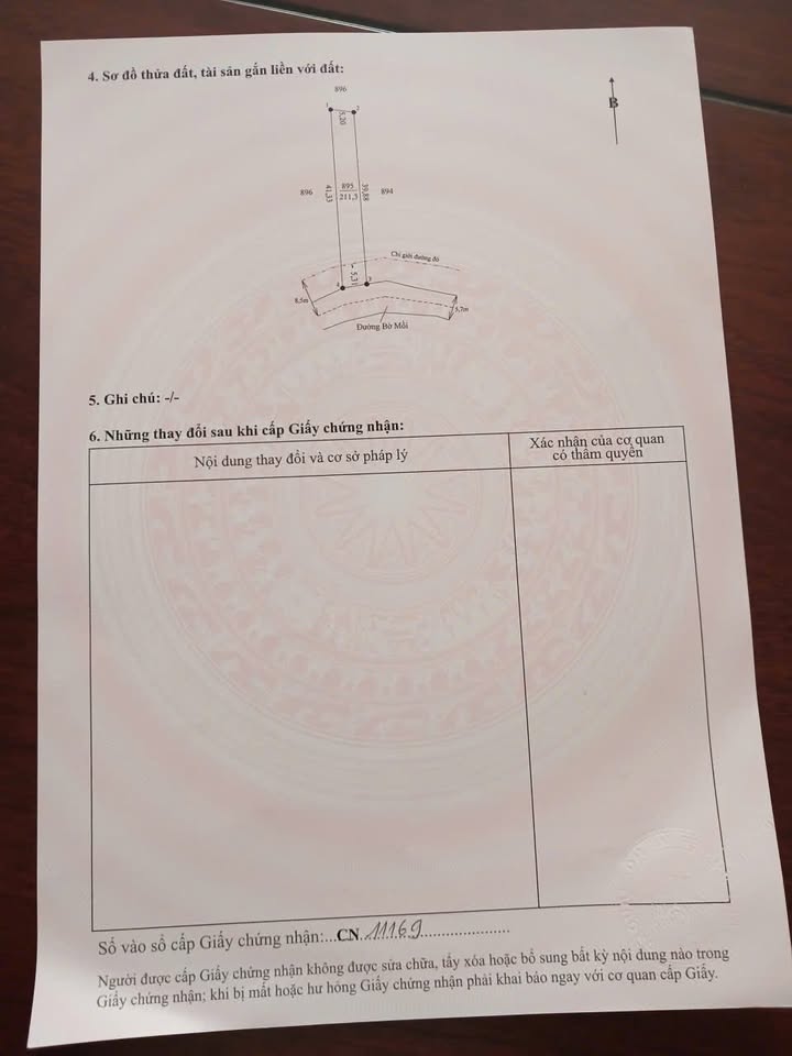 Đất nền thổ cư Tân Lân, Cần Đước 200m² giá 1.25 tỷ - Đầu tư sinh lời ngay!