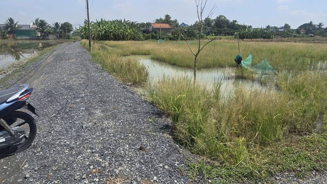 Đất nền 178m² tại Ấp 3, xã Phước Vân, chỉ 750 triệu - Sổ đỏ chính chủ!