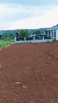 Đất thổ cư đường Hải Âu, Buôn Hồ 250m² giá 550 triệu - Thế đất cao ráo, thuận lợi!