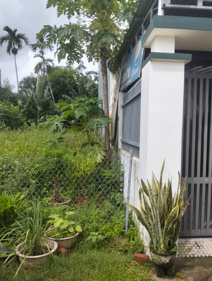 Đất hẻm ô tô ngay trung tâm Quảng Ngãi 105m² giá 800 triệu - Cơ hội đầu tư tuyệt vời!