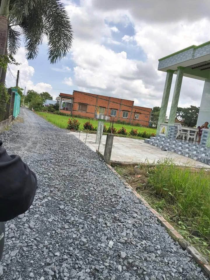 Đất lúa 3000m² xã Phước Đông, Cần Đước - Giá chỉ 550 triệu, cơ hội đầu tư tuyệt vời!