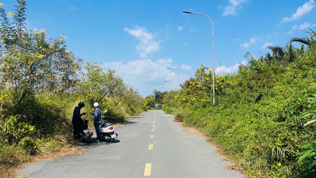 Đất nền Phú Hữu Thủ Đức 120m² giá 5 tỷ - Đầu tư sinh lời bền vững!