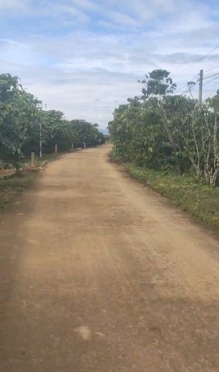 Đất nền Lộc Đức Bảo Lâm 100m² giá 2.8 tỷ - Mặt tiền đường bê tông