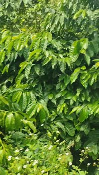 Đất nền Hòa Nam 16,560m² giá 400 triệu - Đầu tư sinh lời ngay!