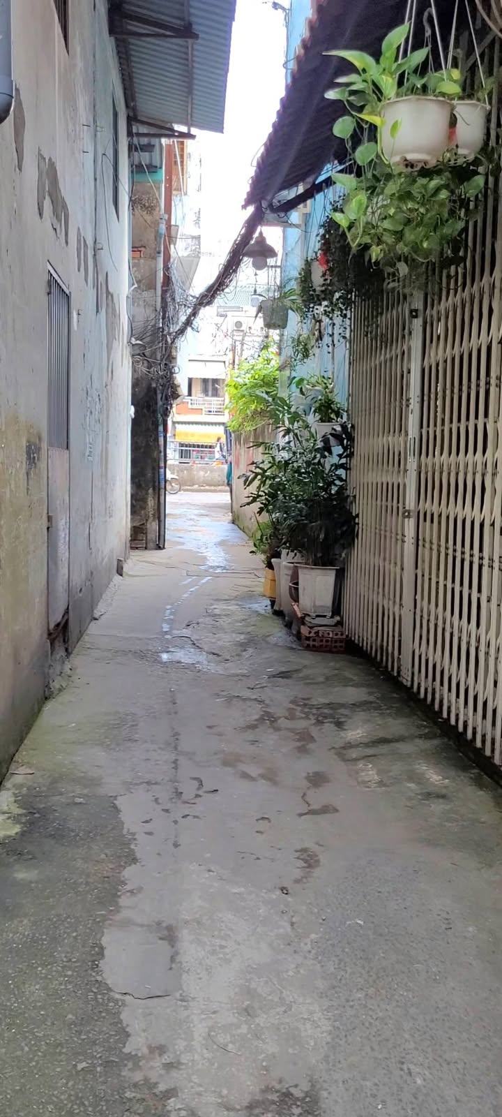 Nhà phố Dương Bá Trạc quận 8, 30m² giá 4.28 tỷ - Sổ hồng chính chủ, không quy hoạch!