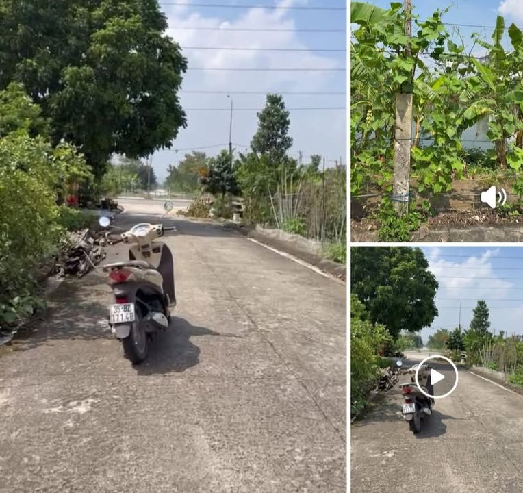 Đất nền Ninh Khang, Hoa Lư 120m² giá chỉ 800 triệu - Đầu tư sinh lời hấp dẫn!